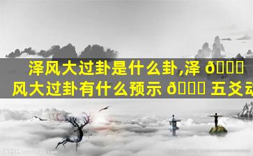 泽风大过卦是什么卦,泽 🍀 风大过卦有什么预示 🍁 五爻动